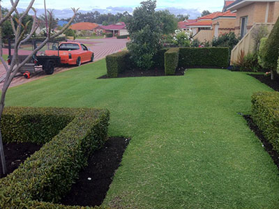 Mown front lawn with clipped low hedges in mulched beds, the orange Kiss My Grass ute and trailer on the street behind