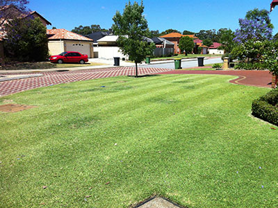 A wide striped front lawn running down to a brick-paved driveway on a quiet suburban street