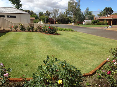 A striped lawn edged with timber borders and rose beds, with a gravel driveway alongside