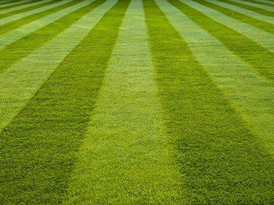 Close-up of perfectly striped, freshly cut lawn