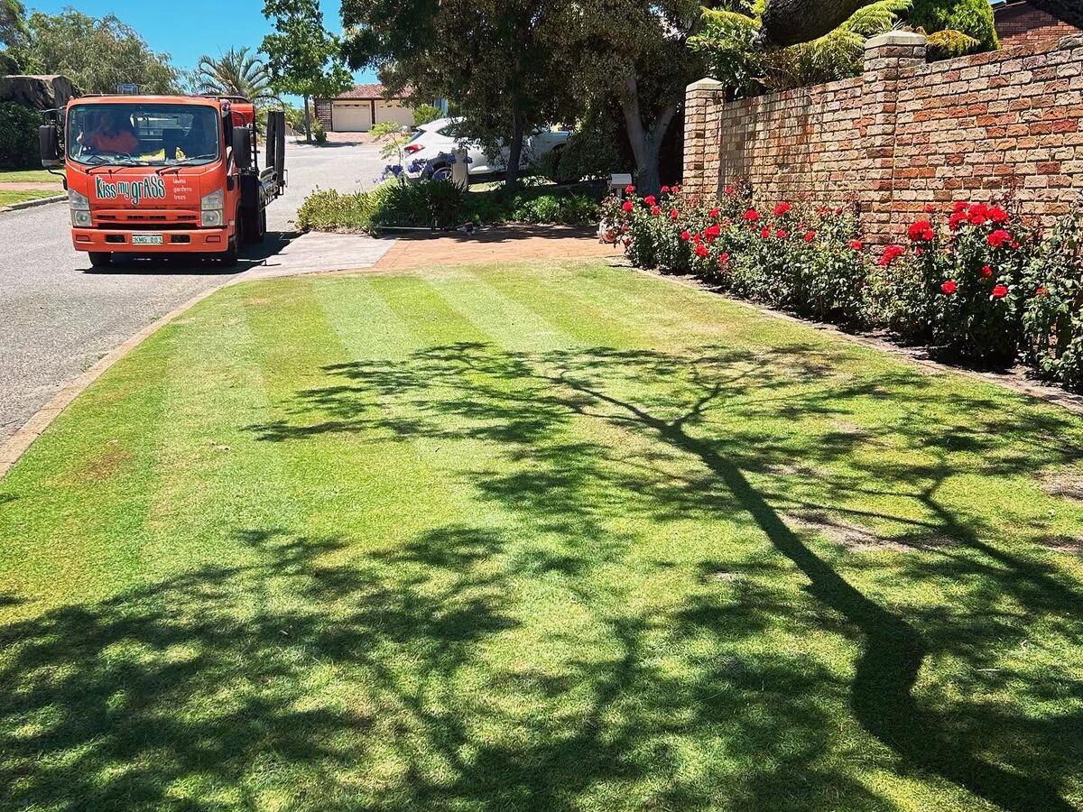 Freshly striped front lawn with the orange Kiss My Grass truck parked on the street and roses along the brick wall